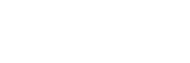 Artisan Forest